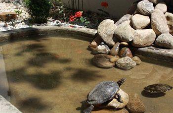 Tortugas
